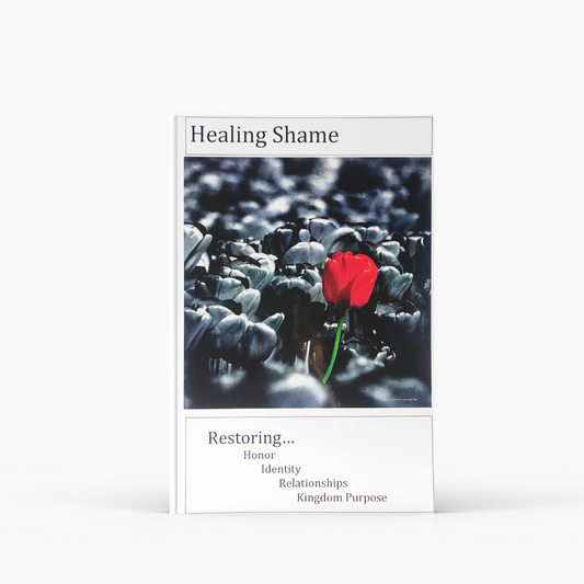 Healing Shame Series Study Guide