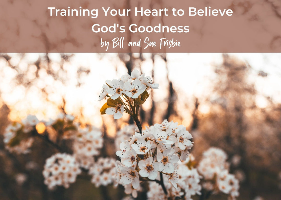 Training Your Heart to Believe God's Goodness