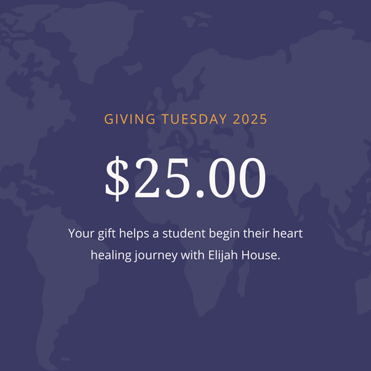 Giving Tuesday Gift - $25