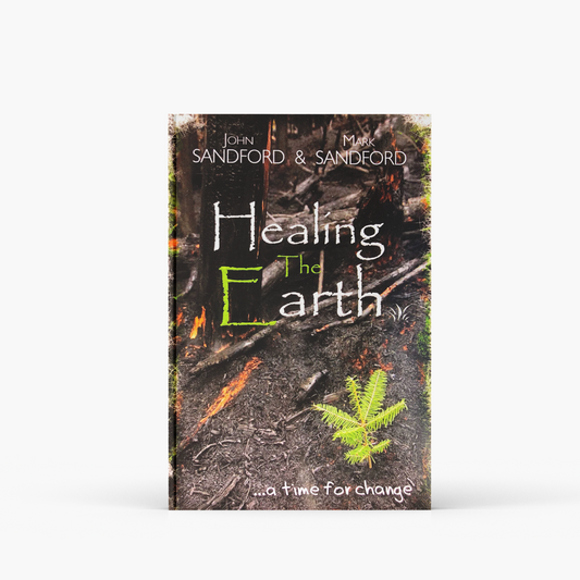Healing the Earth: A Time for Change - (ebook)