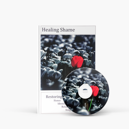 Healing Shame Seminar DVD Package