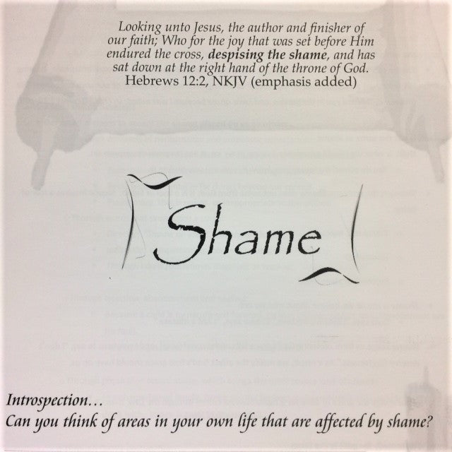 Shame - 201 School Lesson 15 (mp3) - Elijah House