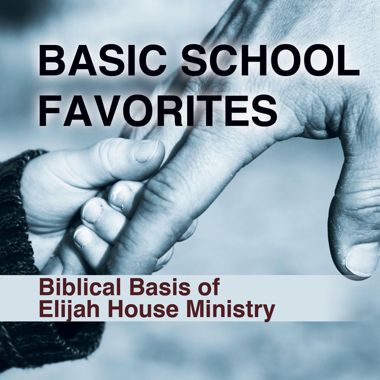 Biblical Basis of Elijah House Ministry (Basic School Favorites Collection One) - DVD